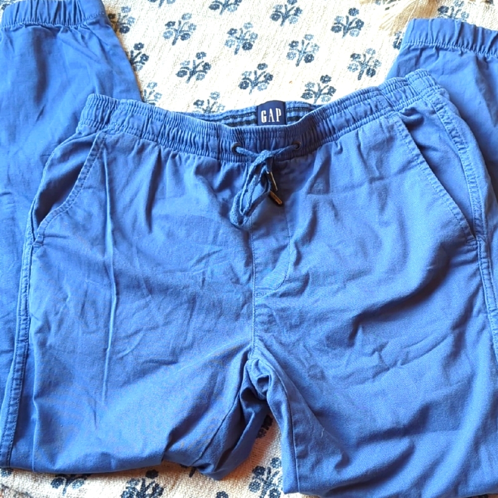 GAP Men's Blue Casual Pants